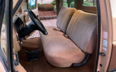 Ford-f250-4x4-1988-brown-21