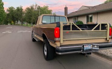 Ford-f250-4x4-1988-brown-3