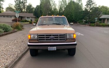 Ford-f250-4x4-1988-brown-4