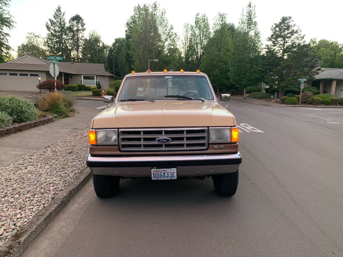 Ford-f250-4x4-1988-brown-4