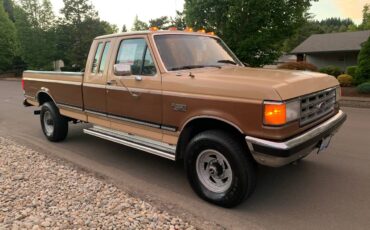 Ford-f250-4x4-1988-brown-5