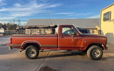 Ford-f250-4x4-diesel-1984-brown-1