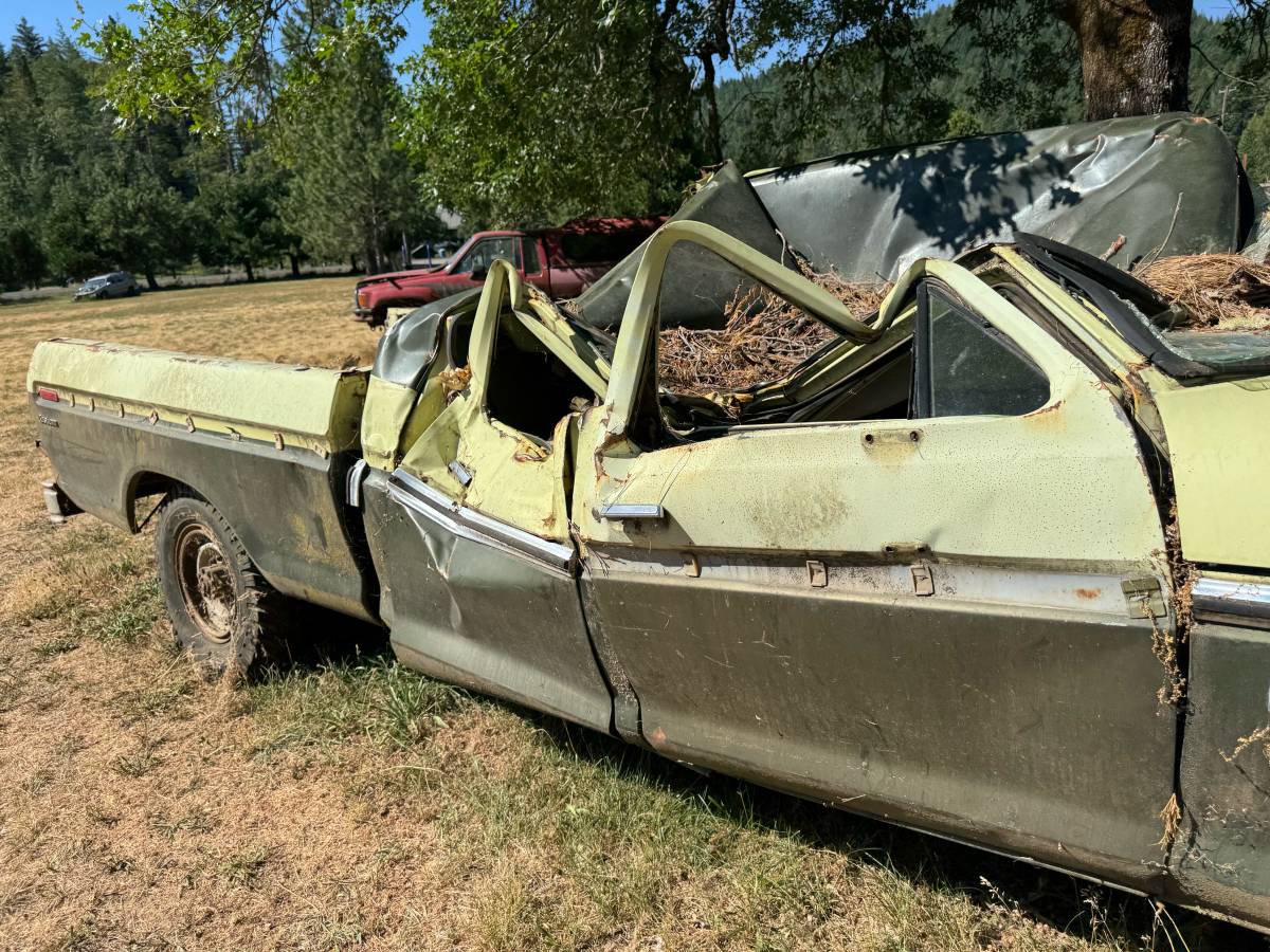 Ford-f250-crew-cab-4x4-1975-2