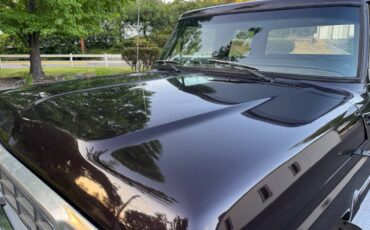 Ford-f250-crew-cab-4x4-1979-brown-19