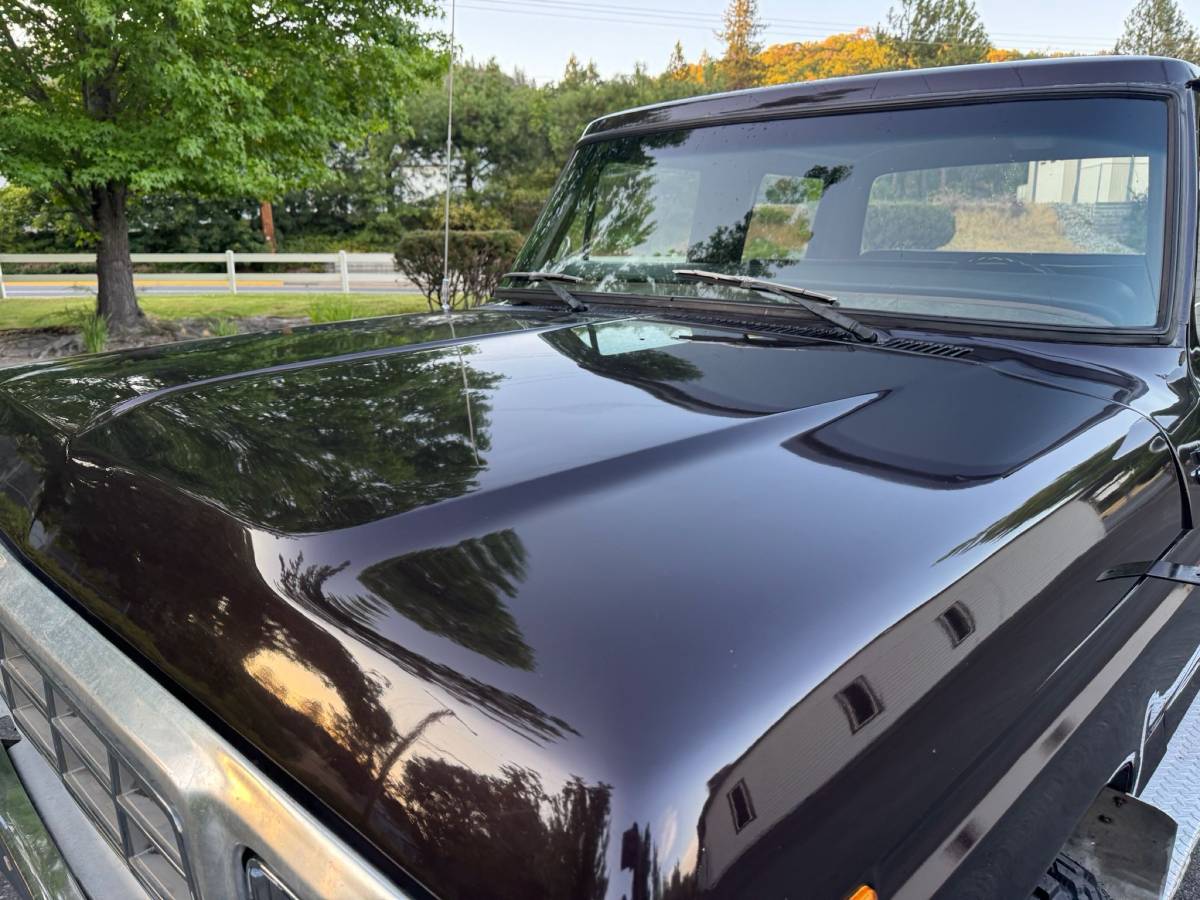 Ford-f250-crew-cab-4x4-1979-brown-19