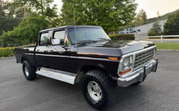 Ford-f250-crew-cab-4x4-1979-brown-24