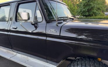 Ford-f250-crew-cab-4x4-1979-brown-25