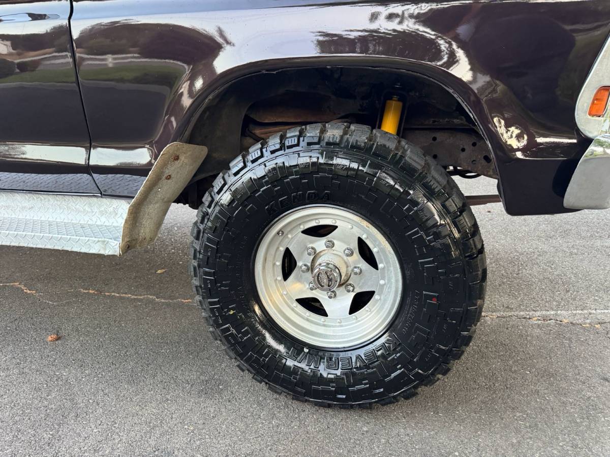 Ford-f250-crew-cab-4x4-1979-brown-26