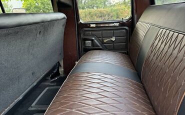 Ford-f250-crew-cab-4x4-1979-brown-27