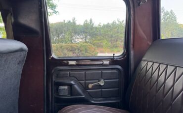 Ford-f250-crew-cab-4x4-1979-brown-28