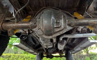 Ford-f250-crew-cab-4x4-1979-brown-34