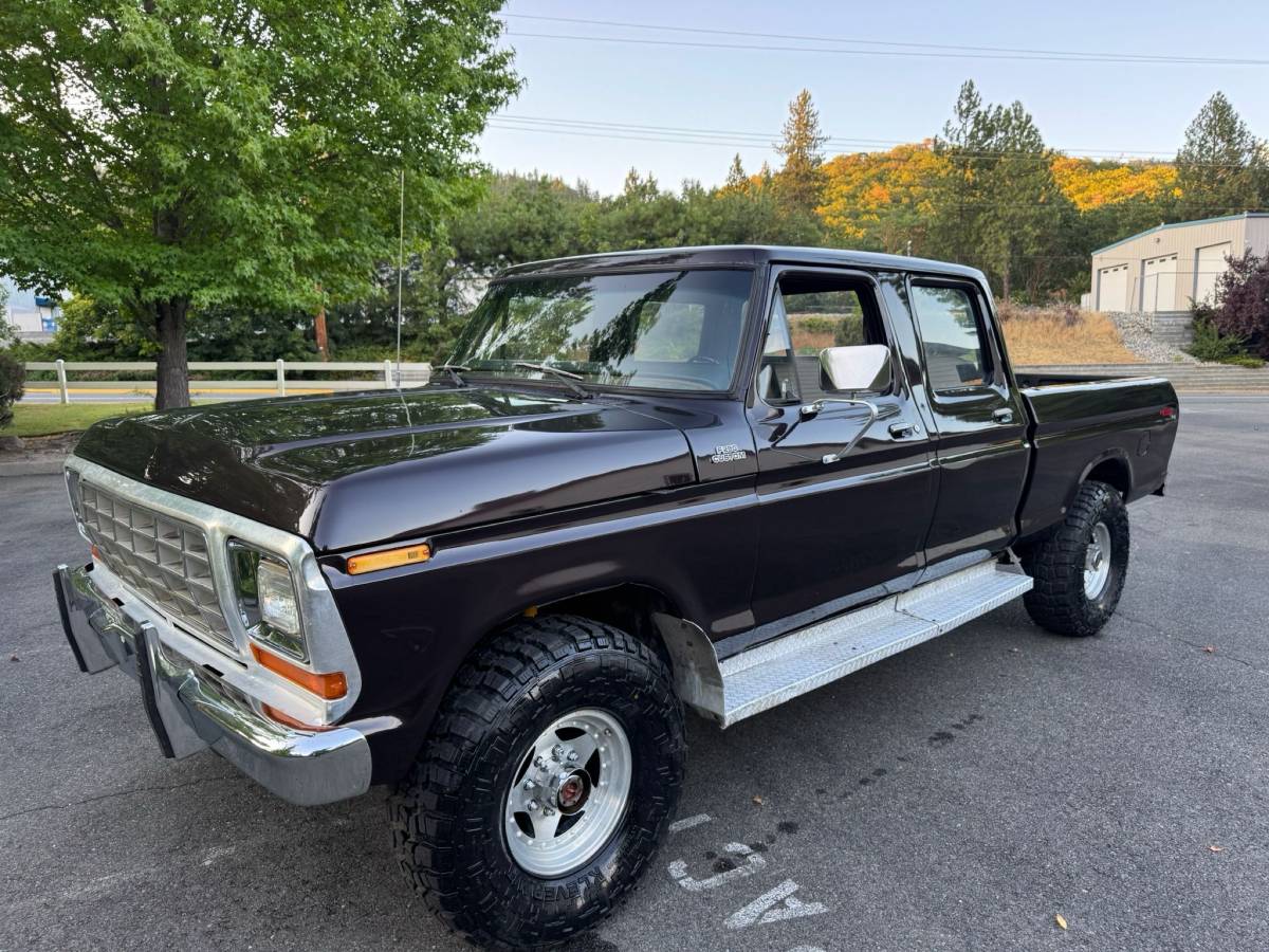 Ford-f250-crew-cab-4x4-1979-brown-37