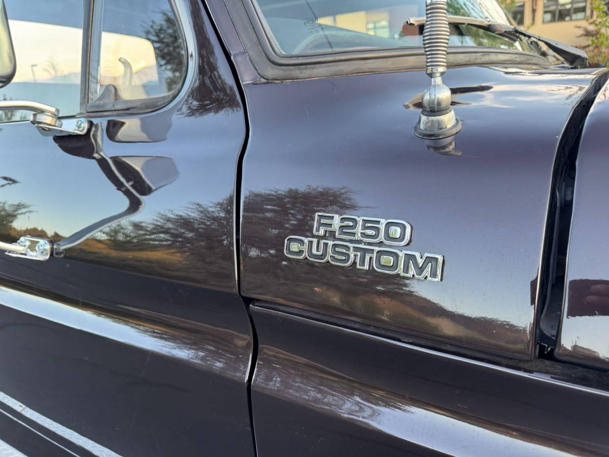 Ford-f250-crew-cab-4x4-1979-brown-38