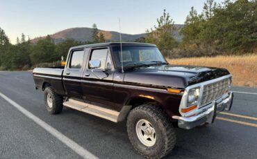 Ford-f250-crew-cab-4x4-1979-brown-49