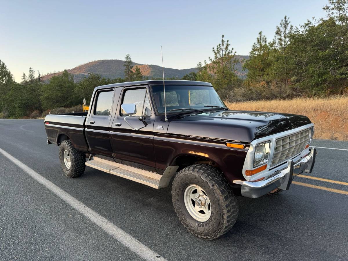 Ford-f250-crew-cab-4x4-1979-brown-49