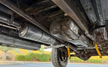 Ford-f250-crew-cab-4x4-1979-brown-6