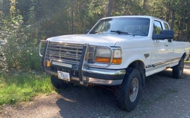 Ford-f250-diesel-1993-white-10