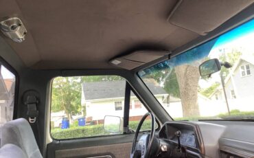 Ford-f250-lariat-4x4-1989-grey-15