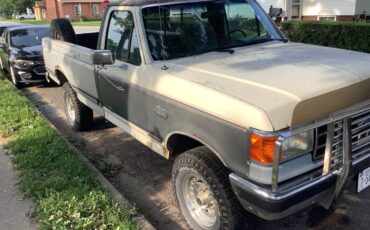Ford-f250-lariat-4x4-1989-grey-2