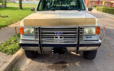 Ford-f250-lariat-4x4-1989-grey-3