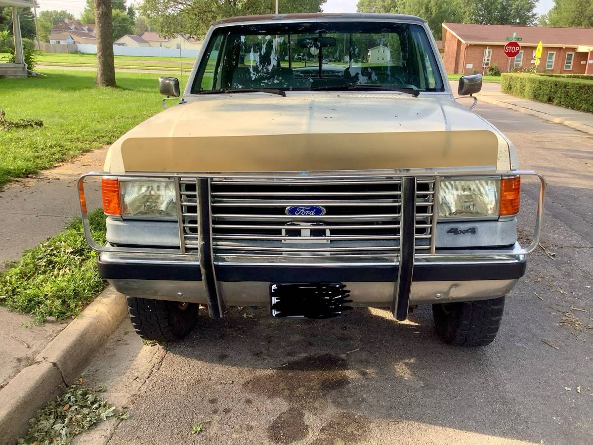 Ford-f250-lariat-4x4-1989-grey-3