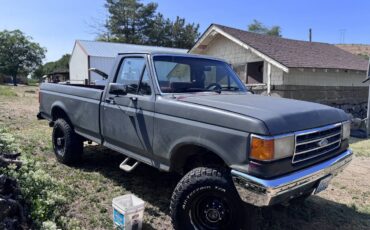 Ford-f250-super-duty-crew-cab-1989-grey-1
