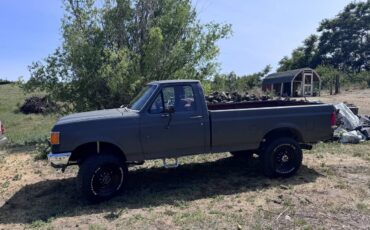 Ford-f250-super-duty-crew-cab-1989-grey-11