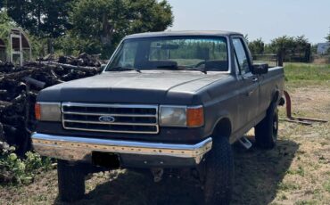 Ford-f250-super-duty-crew-cab-1989-grey-3