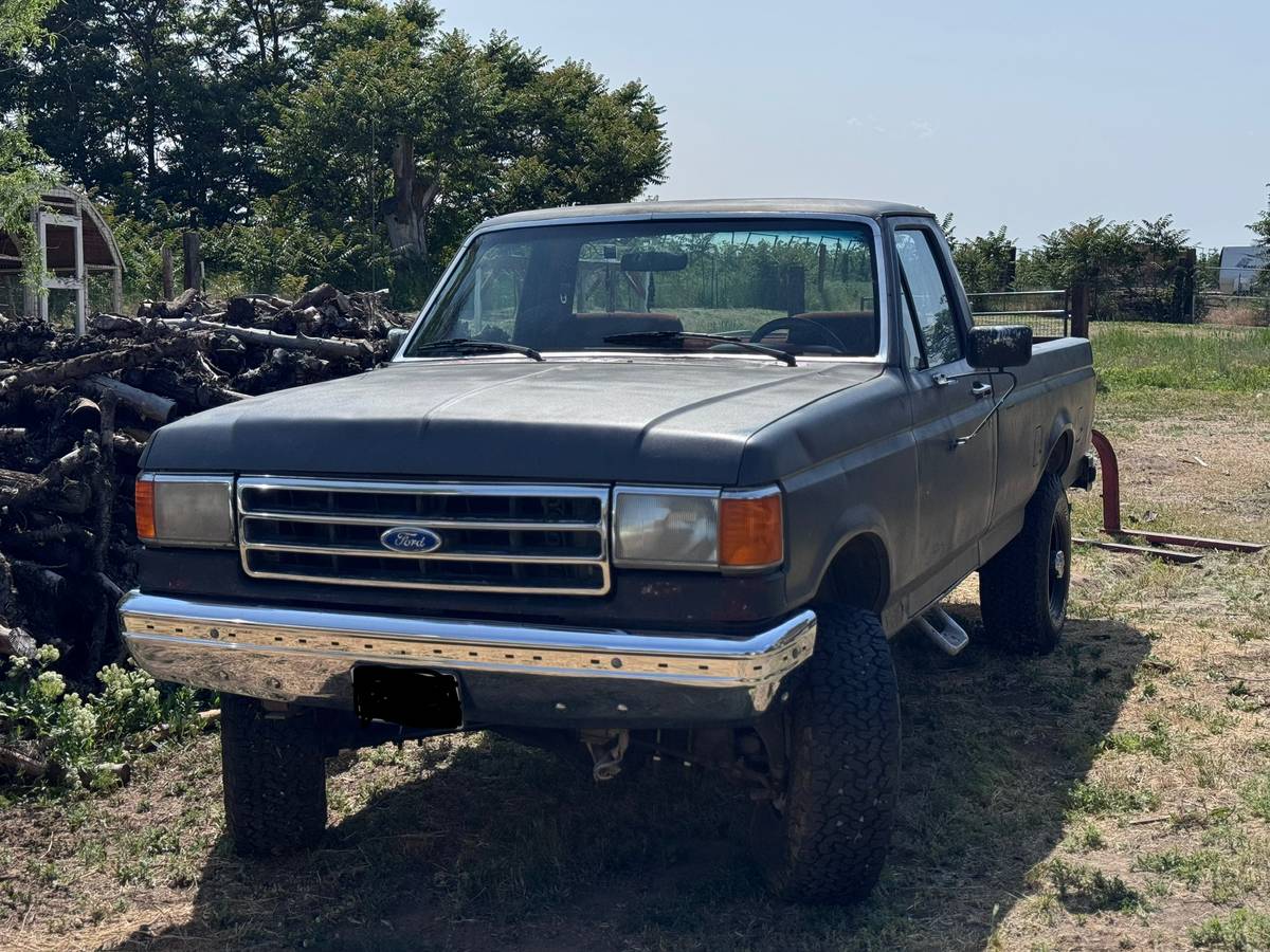 Ford-f250-super-duty-crew-cab-1989-grey-3