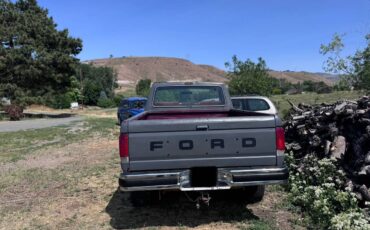 Ford-f250-super-duty-crew-cab-1989-grey