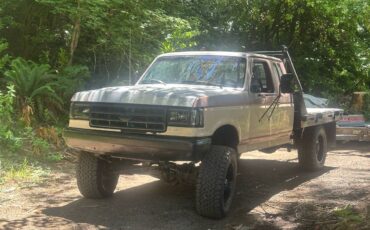 Ford-f250-super-duty-diesel-1991-brown-1