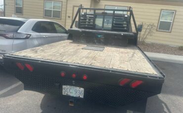 Ford-f250-super-duty-diesel-1991-brown-2