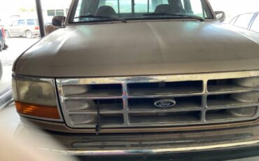 Ford-f250-super-duty-diesel-auto-1993-brown-2