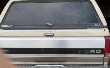 Ford-f250-super-duty-diesel-auto-1993-brown-5