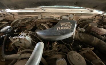 Ford-f250-super-duty-diesel-auto-1993-brown-8
