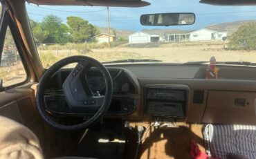 Ford-f250-super-duty-lariat-1988-brown-3