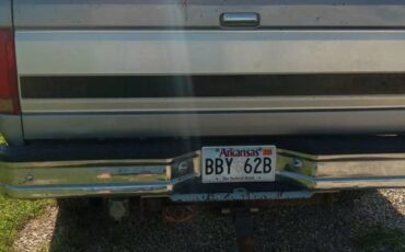Ford-f250-xlt-diesel-1995-grey-3