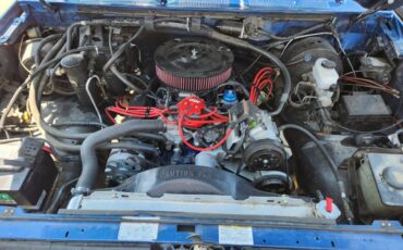 Ford-f350-1994-blue-3