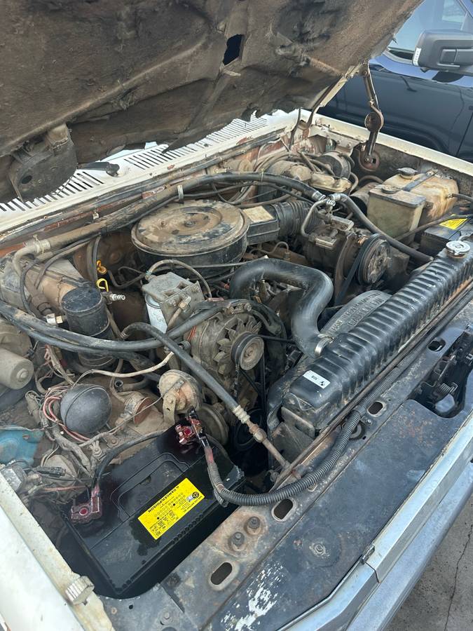 Ford-f350-diesel-1985-white-7