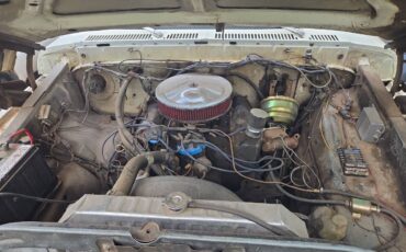 Ford-f350-dually-1979-white-4