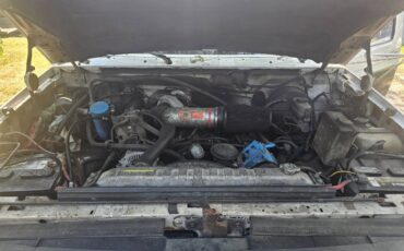 Ford-f350-dually-diesel-1994-white-4