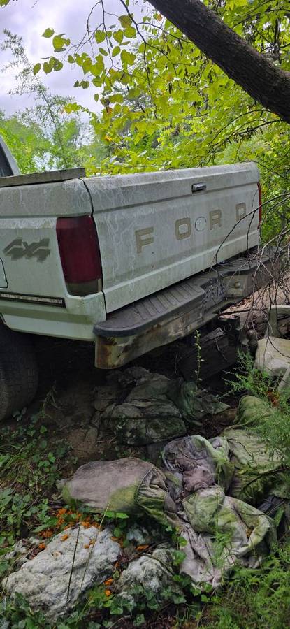 Ford-f350-super-duty-crew-cab-diesel-1995-3