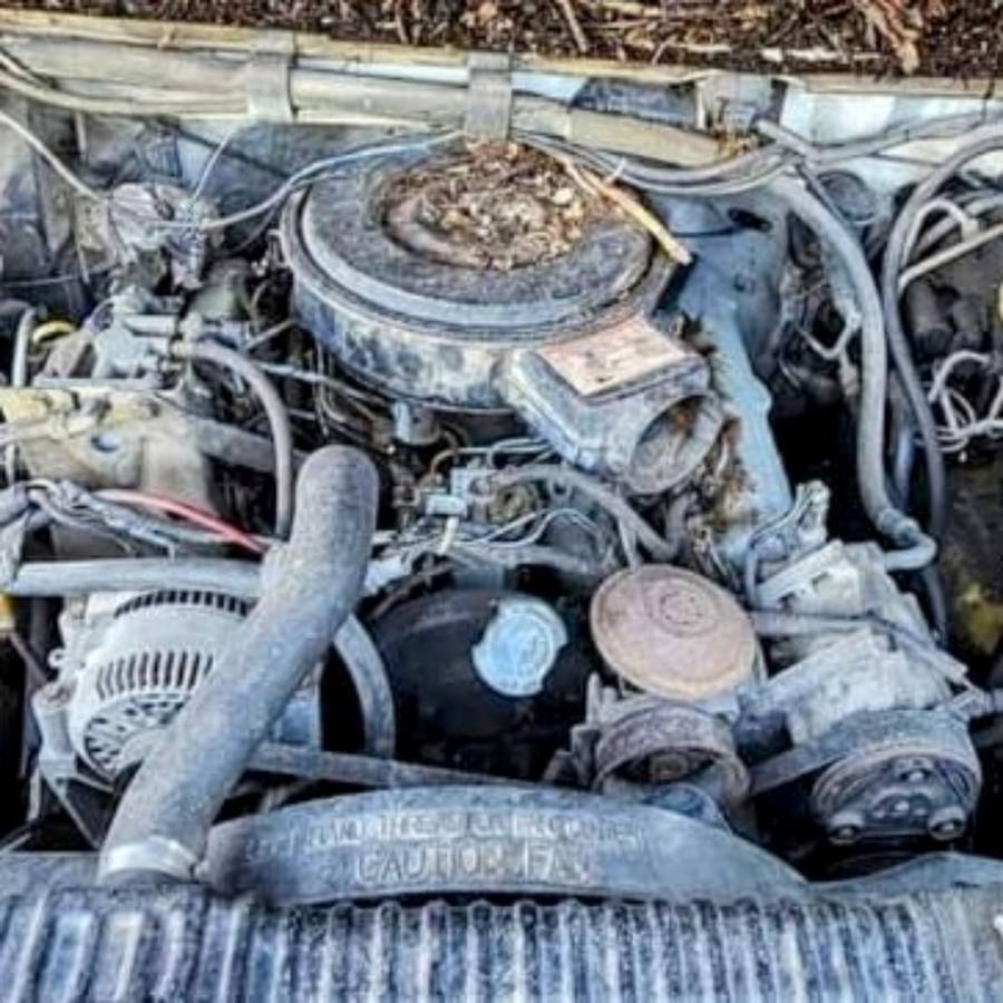 Ford-f350-super-duty-diesel-auto-1994-white-5