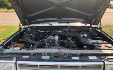 Ford-f350-xlt-lariat-1988-grey-11