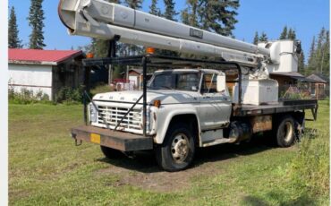 Ford-f600-1978-white
