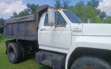 Ford-f600-1987-white-2