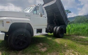 Ford-f600-1987-white-3