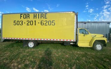 Ford-f700-diesel-1993-yellow-3