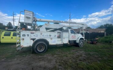 Ford-f750-diesel-1995-2
