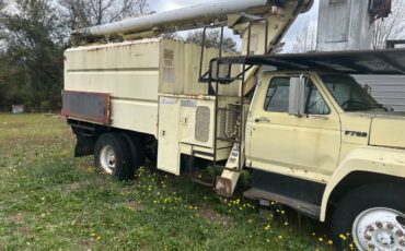 Ford-f800-1987-brown-2